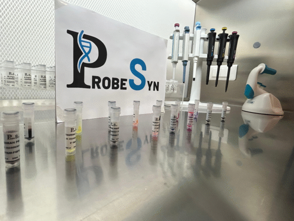 TaqMan® Probe - Image 2