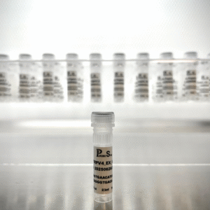 DNA Oligonucleotides