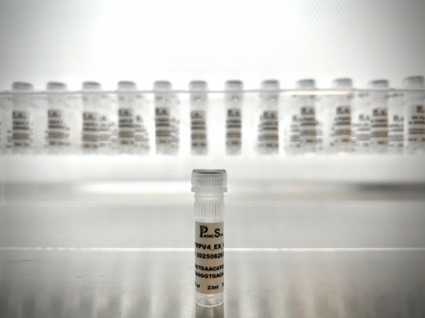 DNA Oligonucleotides