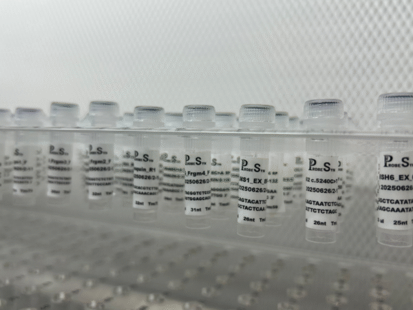 DNA Oligonucleotides - Image 2