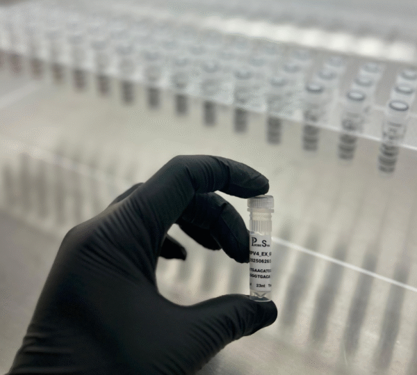 DNA Oligonucleotides - Image 3